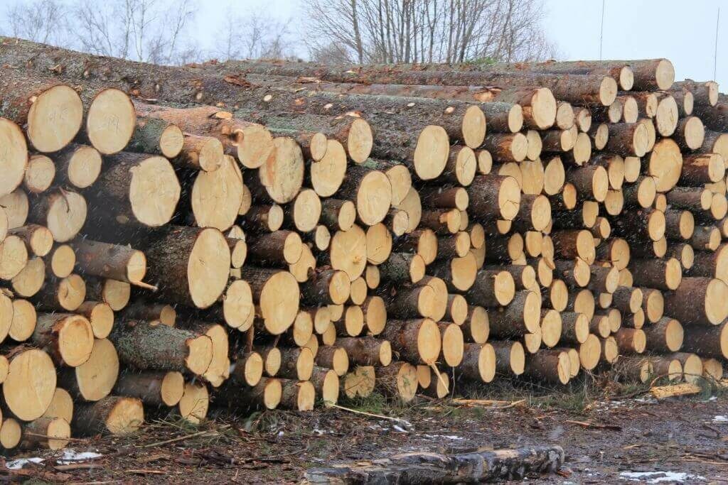 Цена На Доски — Узнайте На Сайте